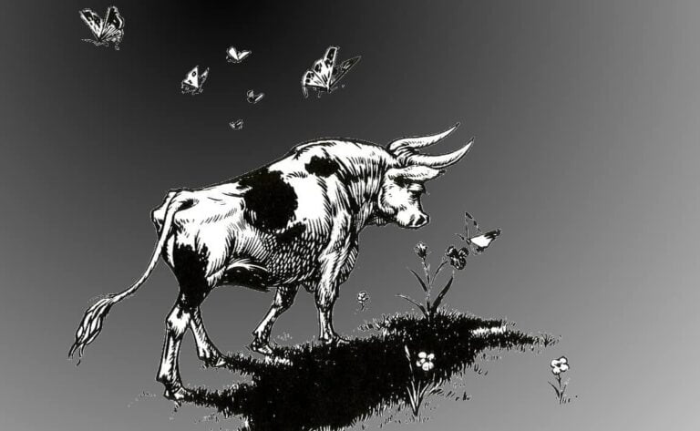 The Story of The Bull