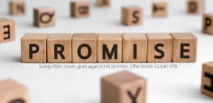 25 Promises from Allah to the Believers