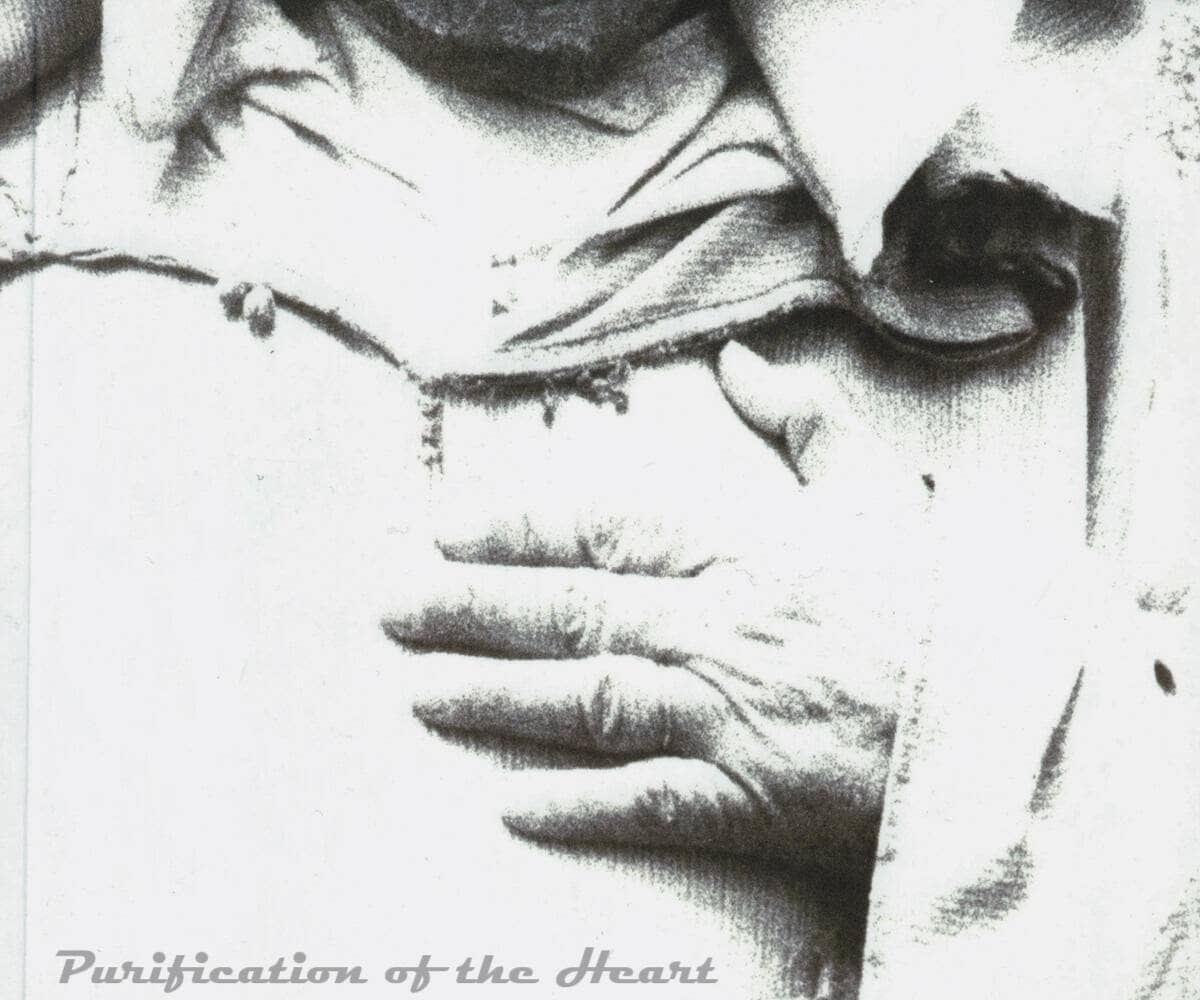 Purification of the Heart  by Hamza Yusuf